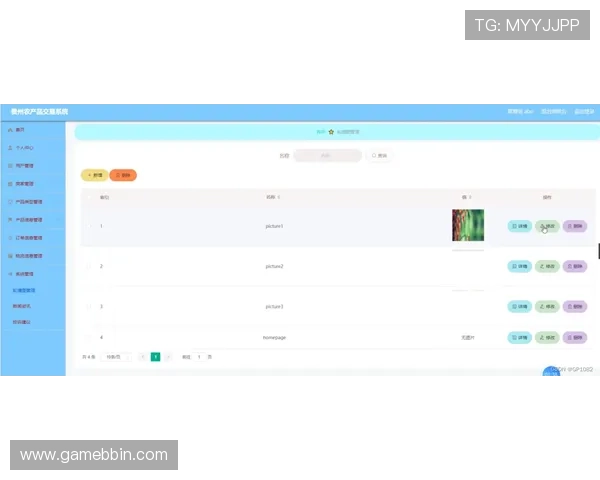 BBIN真人版全站登录常见问题与解决方案帮助玩家无忧应对登录难题