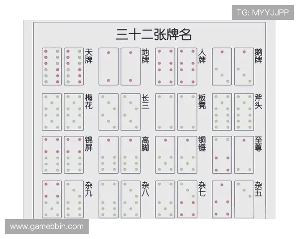 扑克牌牌九的不同玩法介绍与比较,满足不同玩家的多样需求 扑克牌牌九的不同玩法介绍与比较,满足不同玩家的多样需求